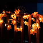 Guirnalda Hojitas de Otoño